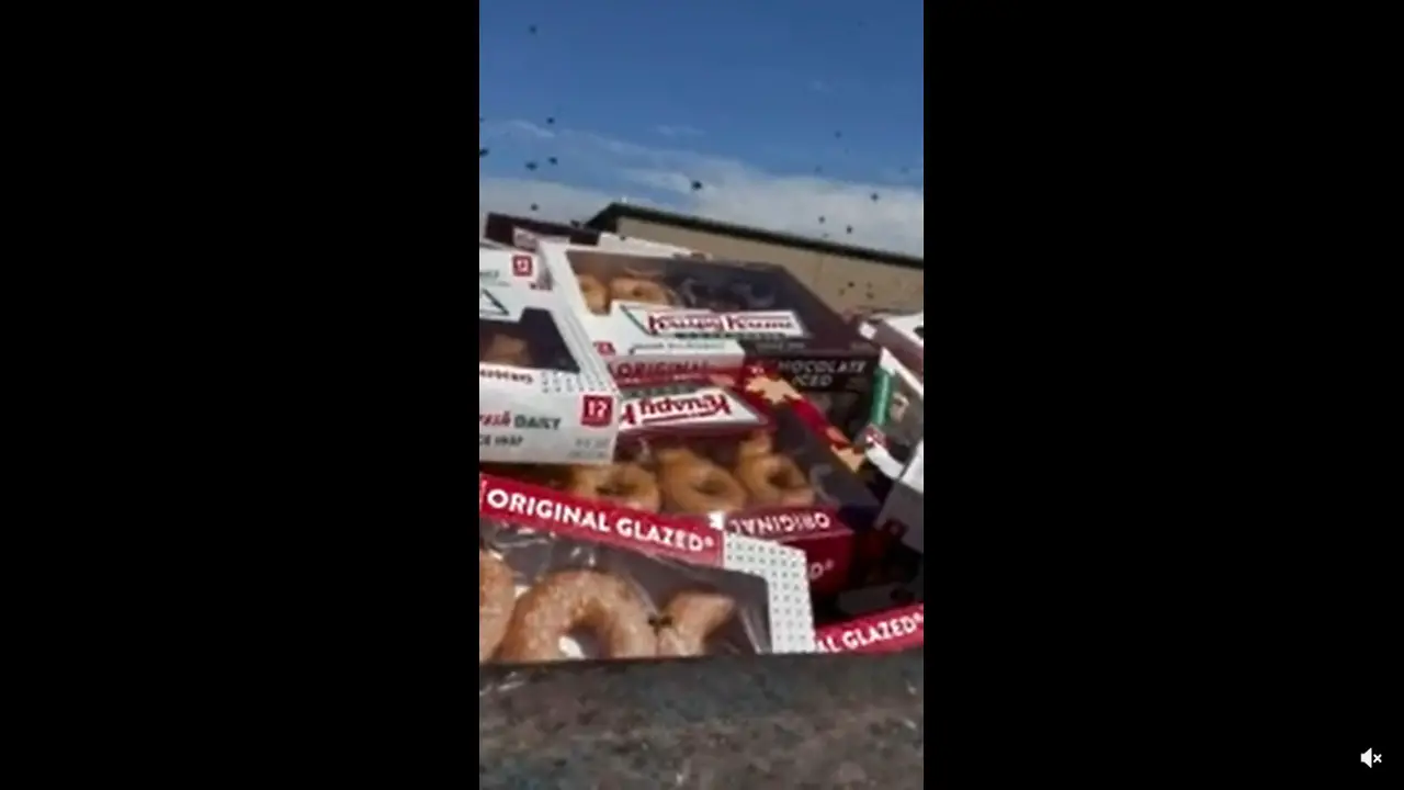 20 Yard Dumpster Of Krispy Kreme Donuts Becomes ‘Honey Hole’ For Bee Army