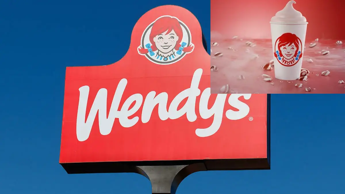 Out With The Old In With…Wendy’s Peppermint Frosty