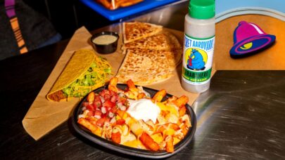 Taco Bell Gears Up To Launch New Item: Secret Aardvark Nacho Fries